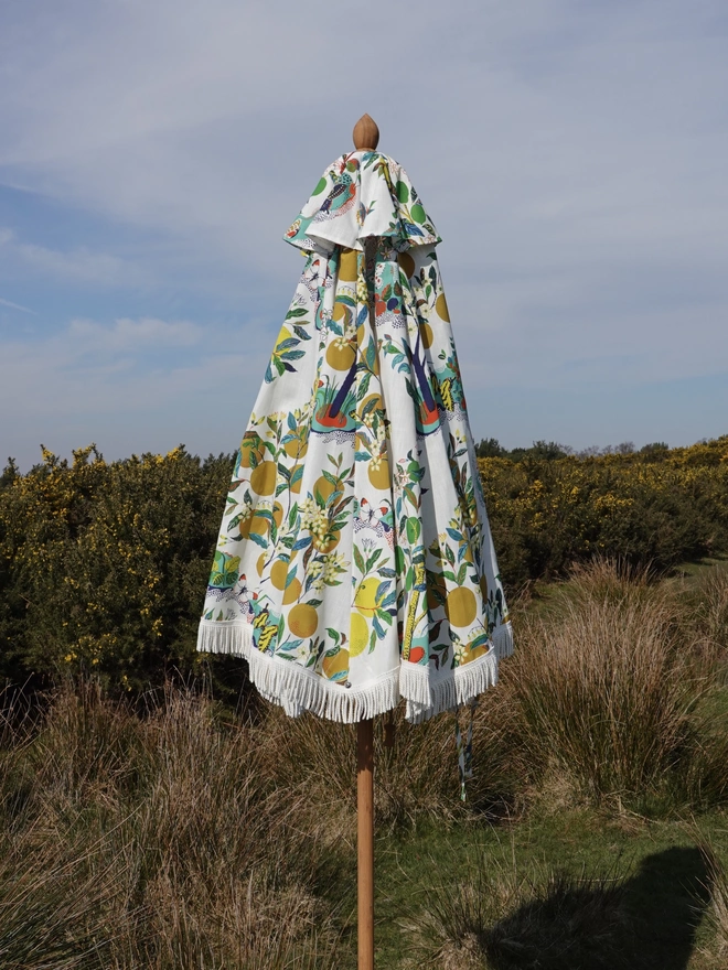 Josef Frank Citrus Garden Parasol. A parasol with a citrus pattern.