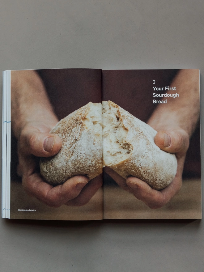 How to make sourdough book