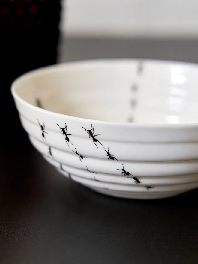 Insect ceramic bowl