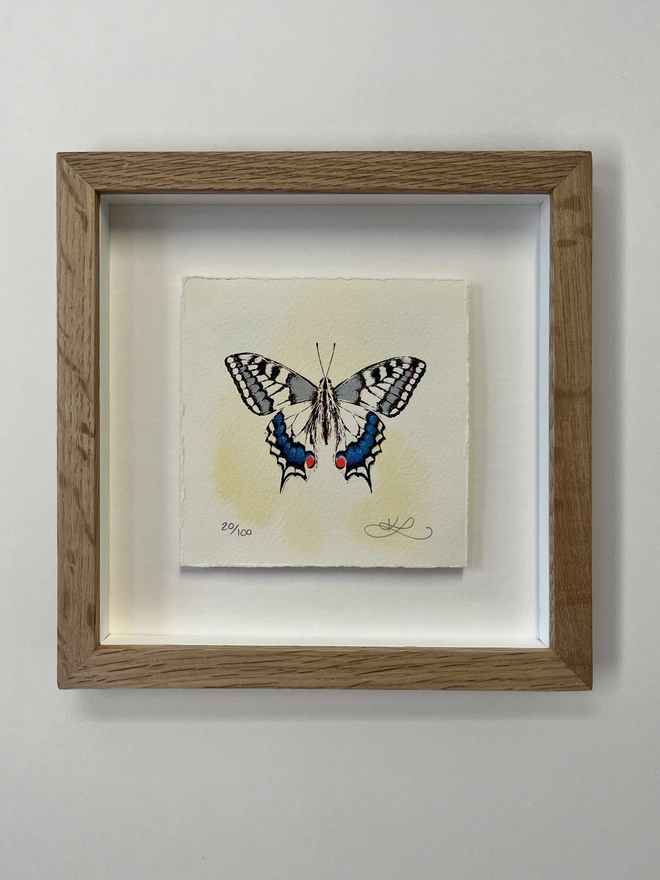 Swallowtail Butterfly Screenprint