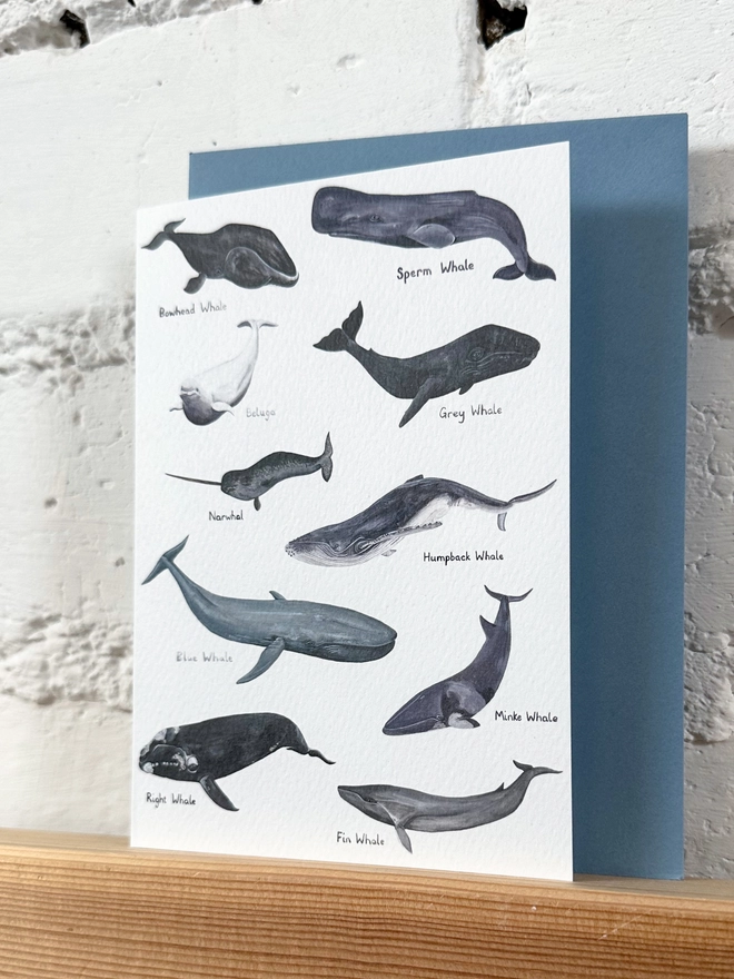 White Card featuring illustrations of 10 different whales with blue envelope