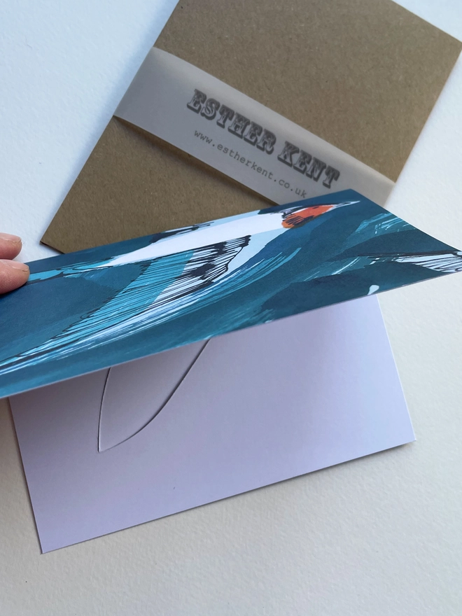 Esther Kent illustrated greeting card showing inky blue swallow illustration on a teal background. The swallow's wing pops u.