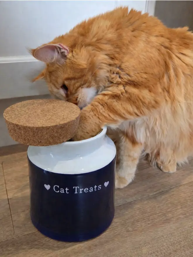 handmade ceramic cat treat jar