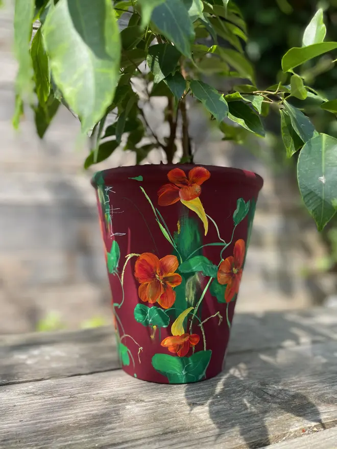beautifully hand-painted interior terracotta plant pot, featuring a serene burgundy background adorned with orange Nasturtium flowers