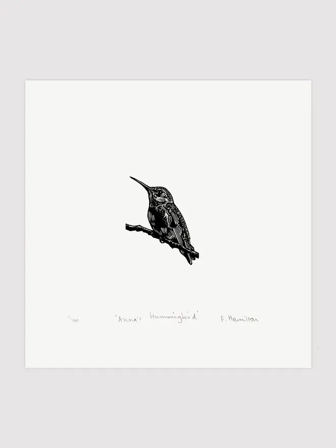 black hummingbird print on white paper