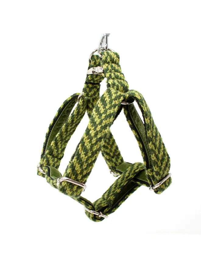 Green dog harness handing on white background