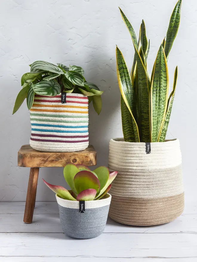 Rainbow Striped Cotton Pot