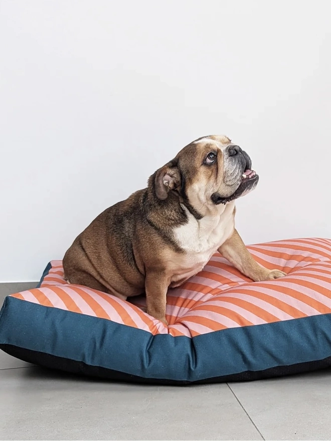  Printed Cotton Patterned Dog Bed, a dog sitting on a patterned dog bed on a tiled floor in front of a white wall. 