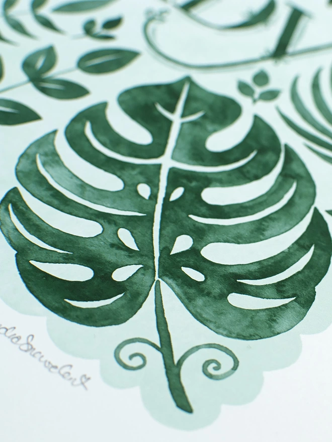 hand painted watercolour monstera leaf in green and white from crazy plant lady print