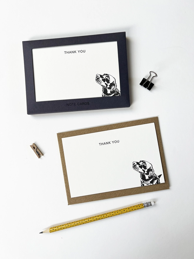 Boxed flat correspondence cards illustrated with a Labrador