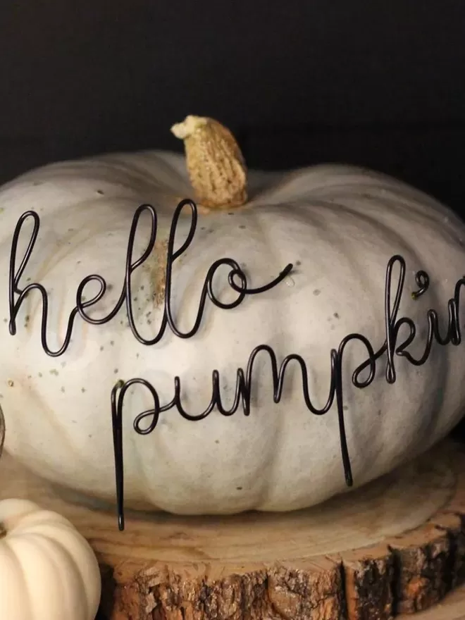 Hello Pumpkin black wire sign seen in a white pumpkin.
