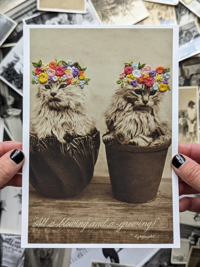  B&W photo print  of 2 kittens in flower pot with coloured embroidered flower crown