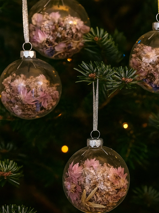 Glass baubles filled with dried flowers hanging in a Christmas tree