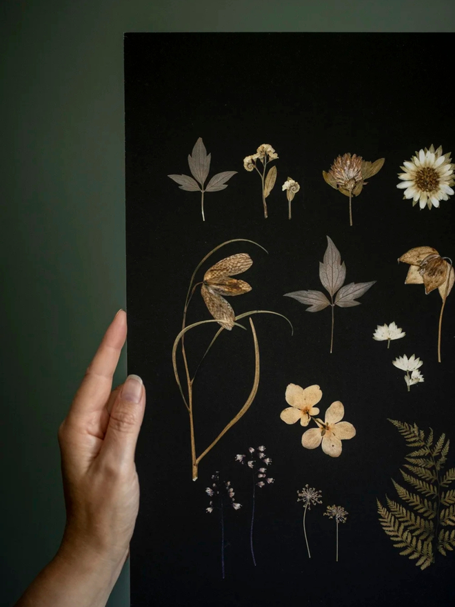 pressed wildflower framed print