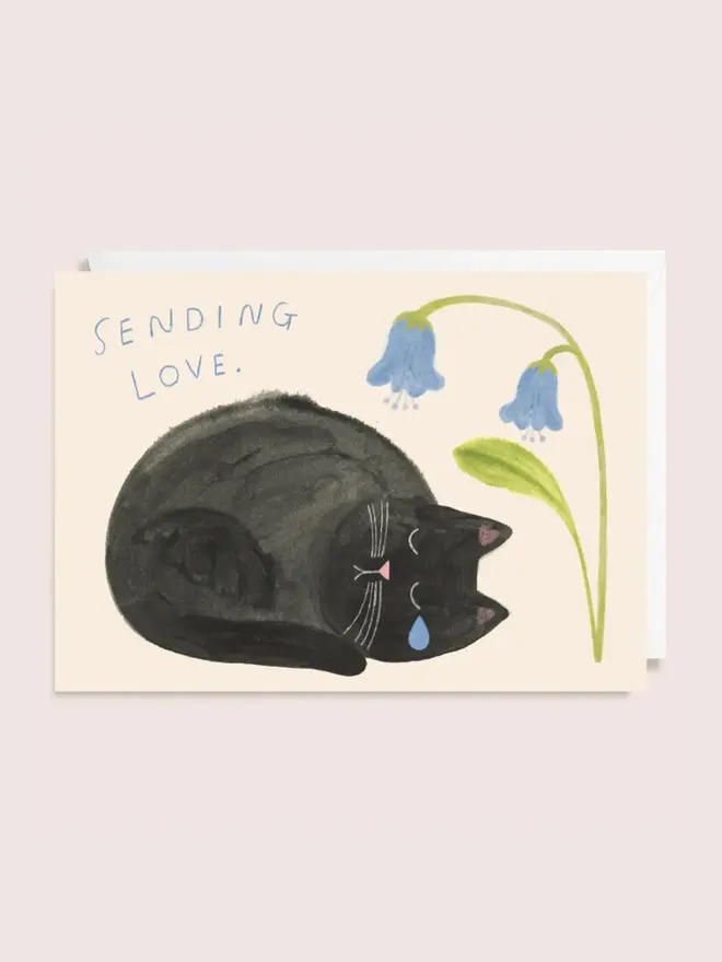 'Sending Love' Sad Cat, against a pink background. 