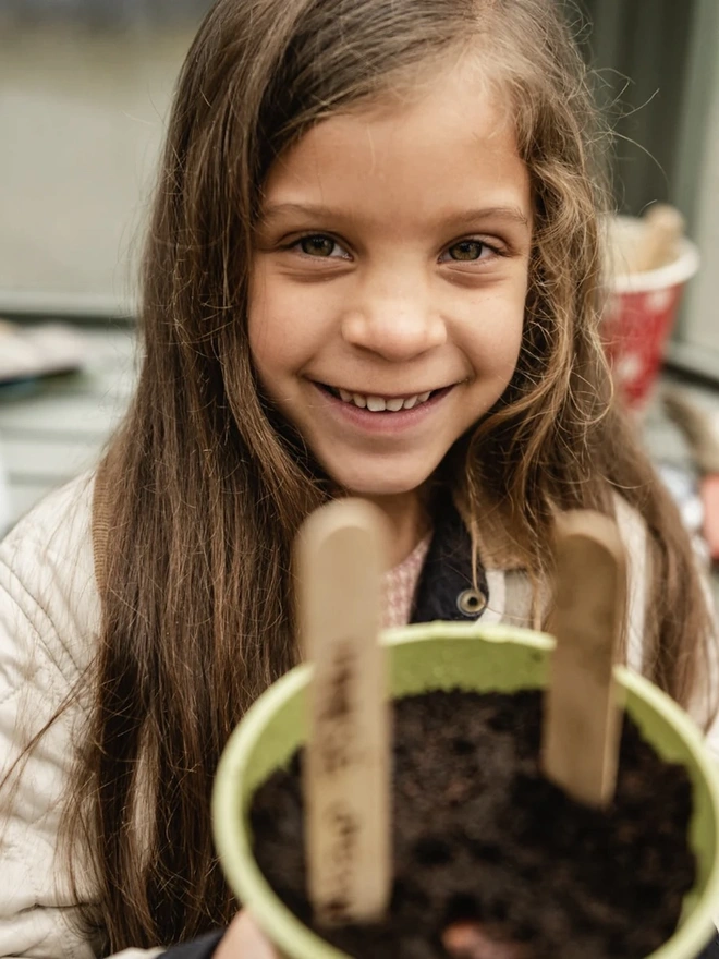 The Grow Your Own British Tree Kit