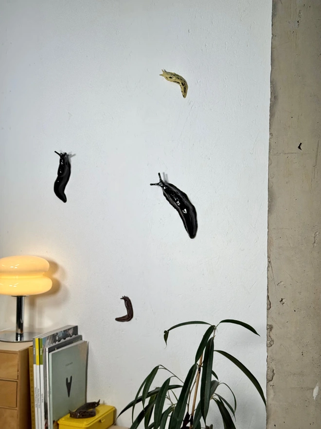 A Bigger Slug ii