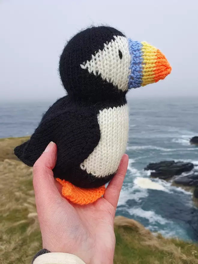 Barry the knitted puffin enjoying a cliff top view at Castle Sinclair Girnigoe Caithness