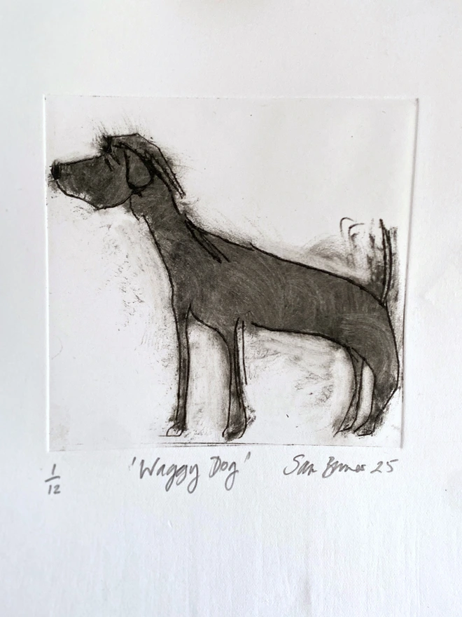 Waggy Dog'. Handmade Drypoint Drawing by Samantha Barnes