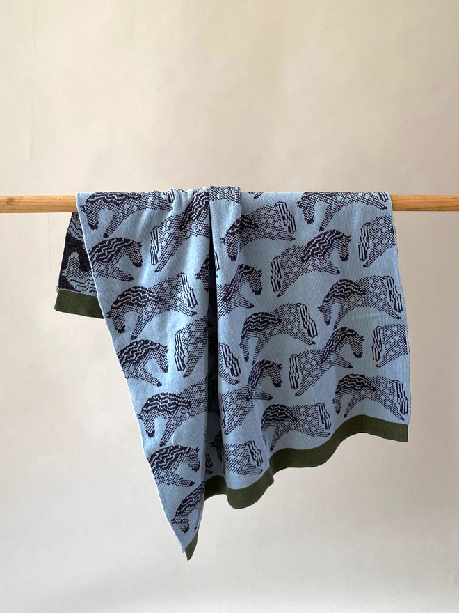 Blue Horse Blanket