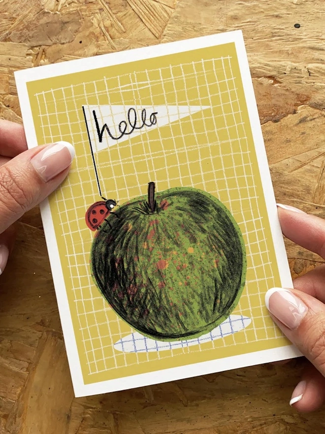 'Hello' Ladybird Card