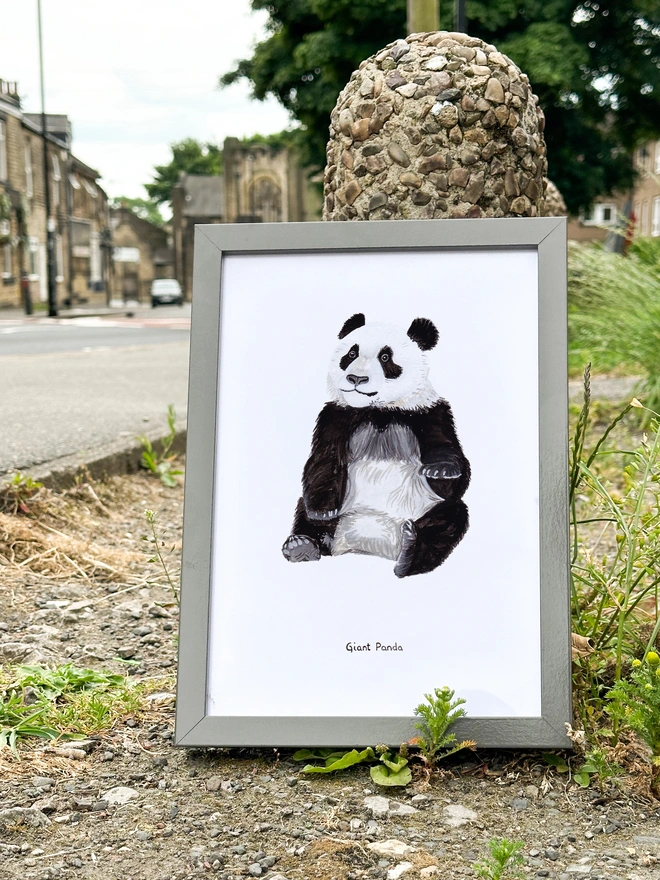 a print featuring an illustration of a juvenile panda