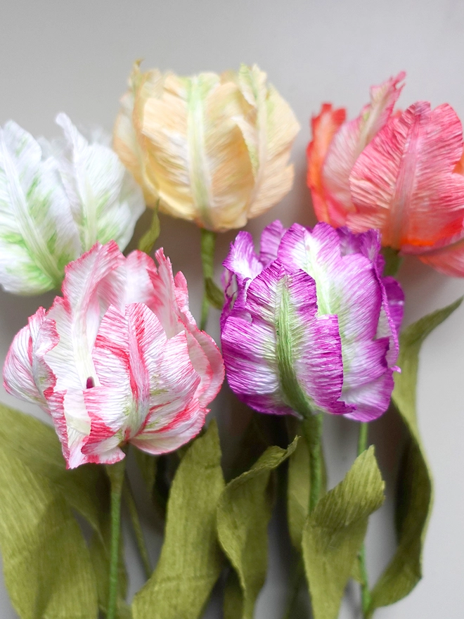 Crepe Paper Parrot Tulip DIY Kit