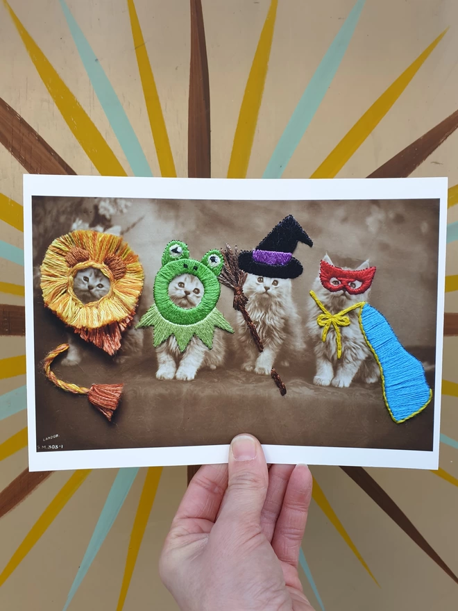 Black and white print, 4 cats wearing embroidered fancy dress held against wall