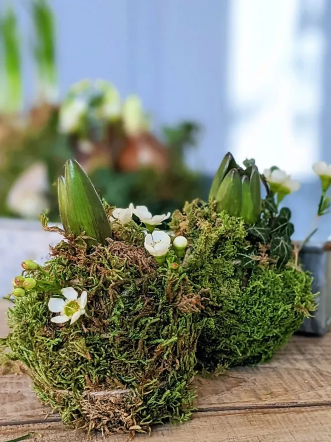 2 Hyacinth kokodamas on decorative tray with seasonal wax flowers