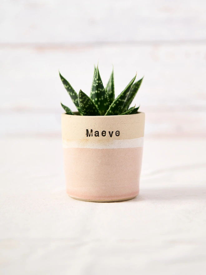 personalised ceramic plant pot