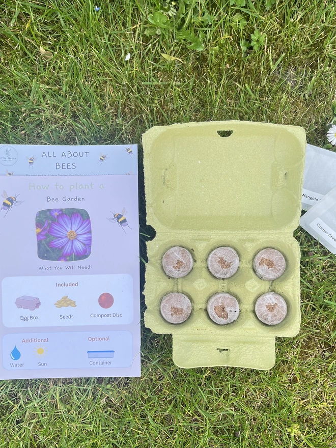 Layout of what's included in the Plant a Bee Garden Kit including instructions and materials lying on the grass