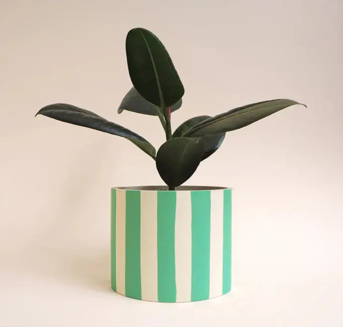 Large Stripes Jesmonite Pot. Green plant sits in a white ceramic pot decorated with vertical green stripes against a plain light background.