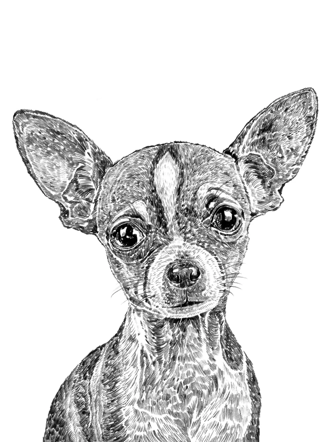 Detail of chihuahua art print