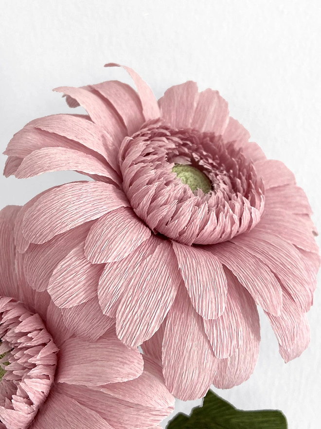 Crepe Paper Gerbera Daisy DIY Kit