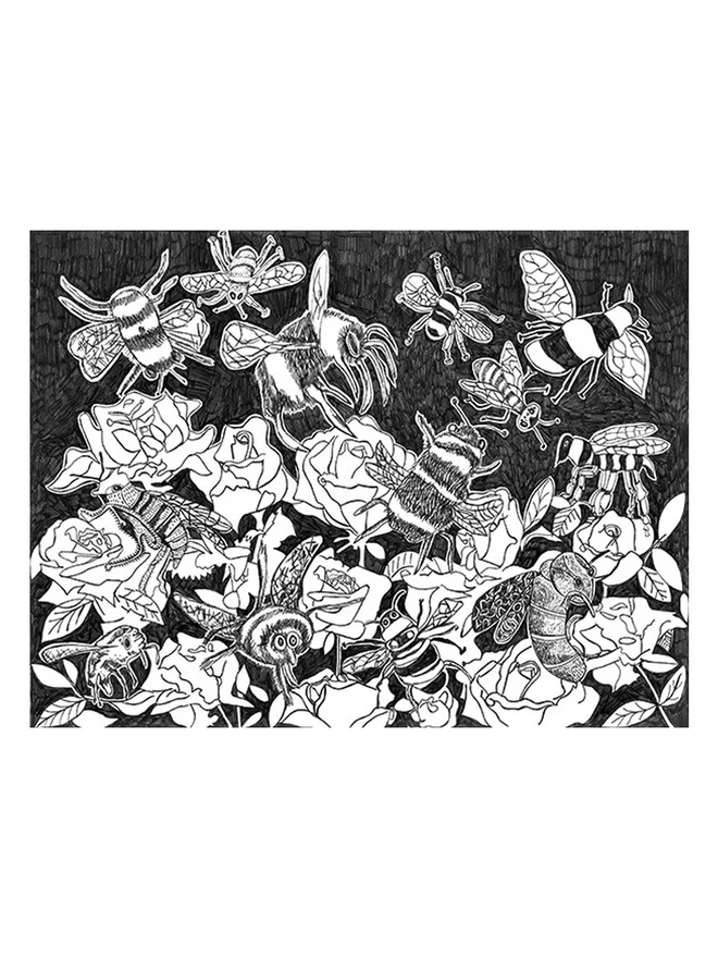 Orginal black and white line drawing of bees for charity dark chocolate bar packaging