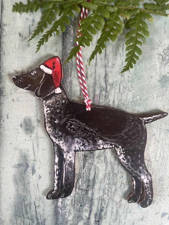 Red hung with red and white twine wearing a santa hat placed on a book with text about dogs