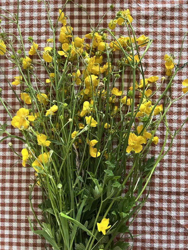bunch of buttercup flowers