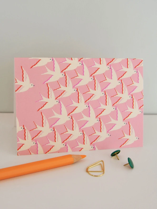 Birds Illustrated Notecard Pack