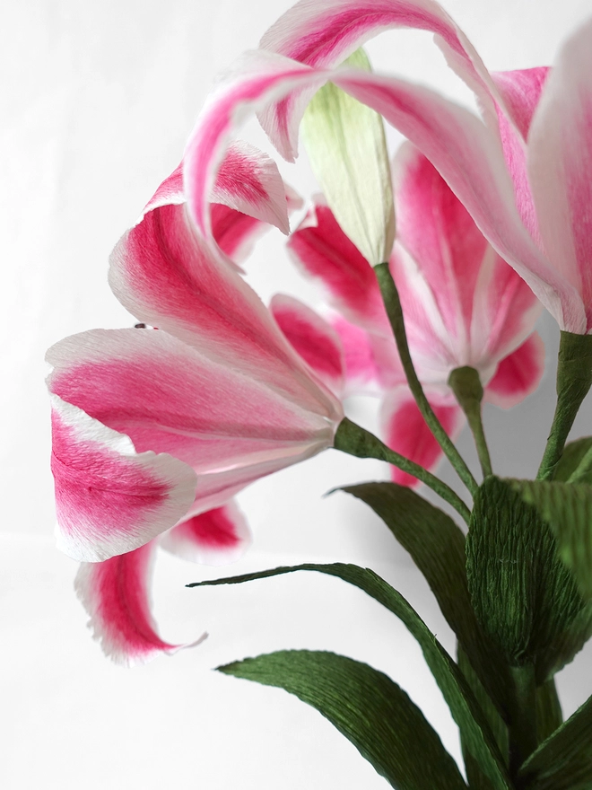Crepe Paper Easter Lily DIY Kit