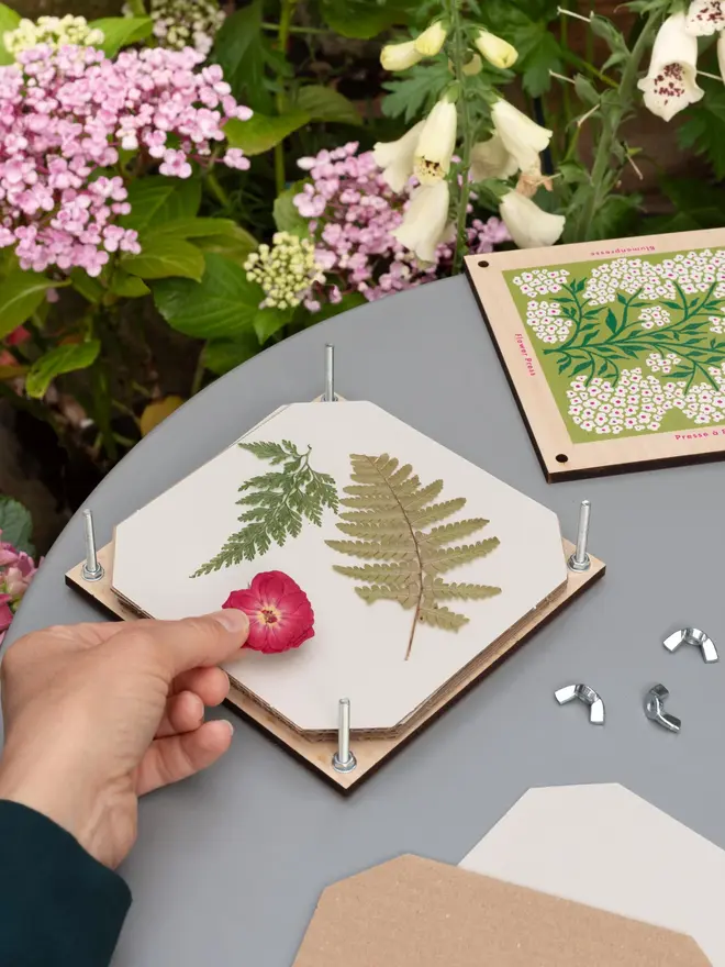 forget me not flower press, in use on an outdoor table, with leaves and a flower being pressed onto paper
