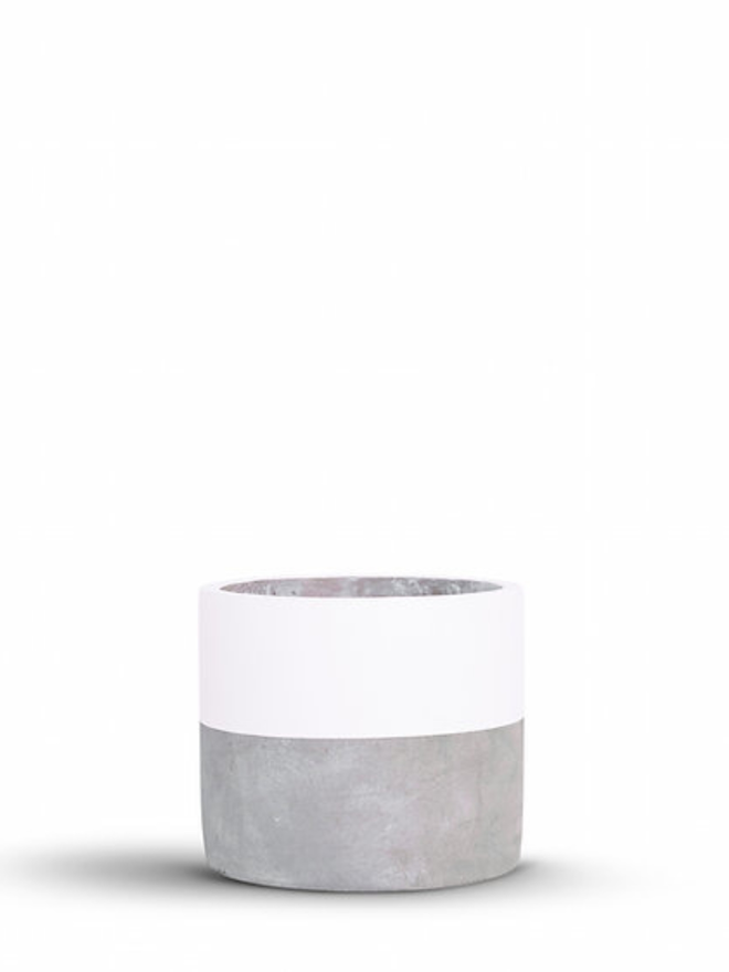 lucky dip concrete plant pot. a grey concrete plant pot with a white stripe around the top half.
