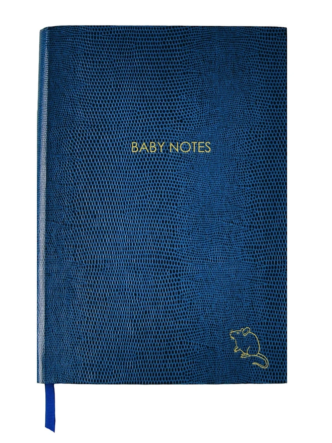 'Baby Notes' Notebook