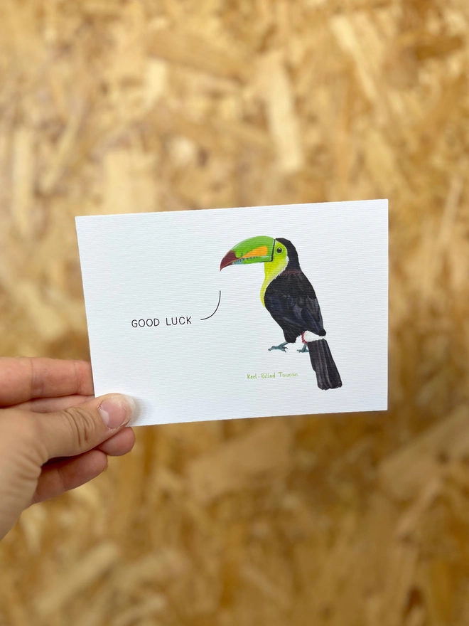 a greetings card featuring an illustration of a toucan with the text “good luck”