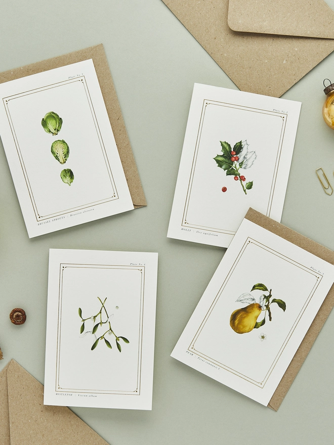Botanical elements on a greeting card with gold details