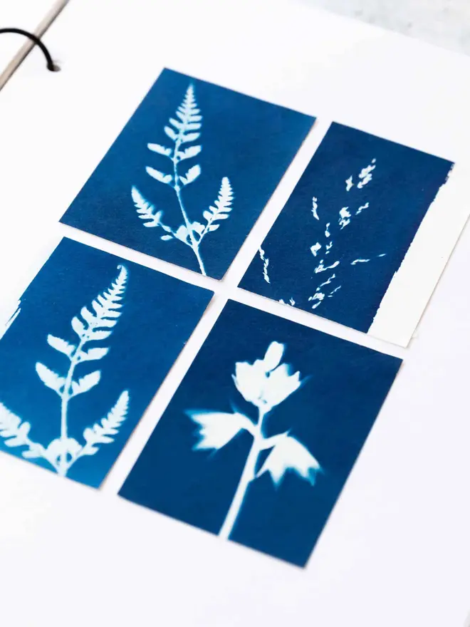 Mini Cyanotype Paper To Create Beautiful Prints With Sunlight