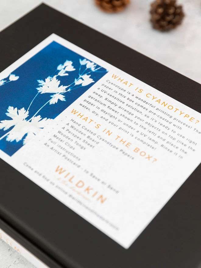 back of the kit box showing the label that explains about cyanotype.