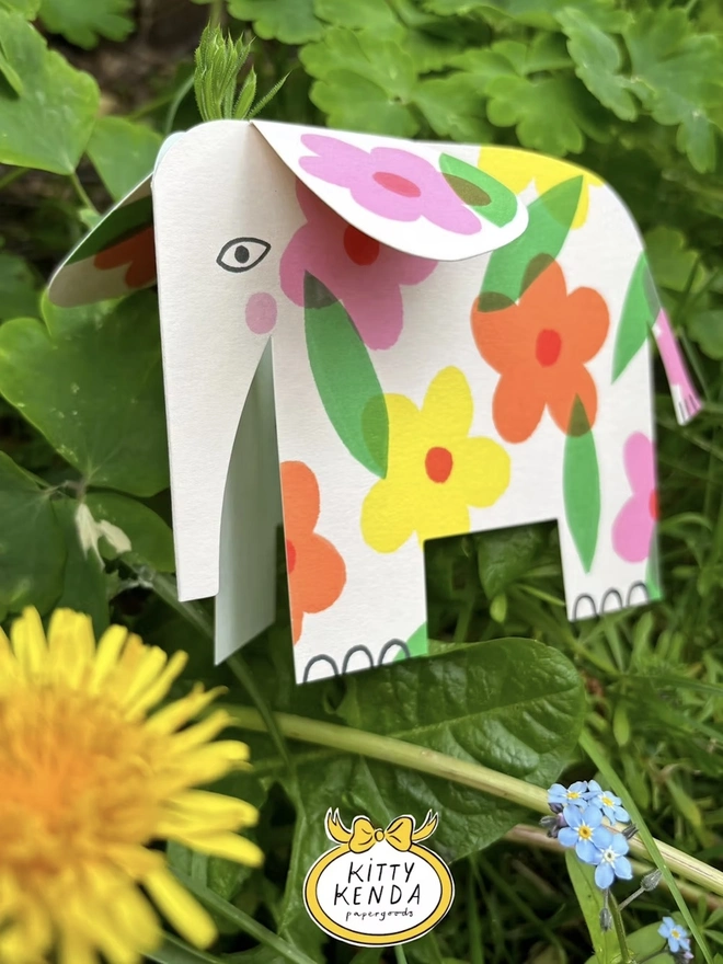 Elephant Card 5 Designs