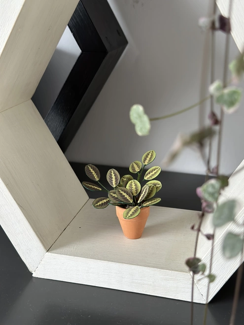A miniature replica Maranta Prayer Plant paper plant ornament in a terracotta pot sat in a white hexagonal box shelf on a grey shelf with a real plant in the foreground