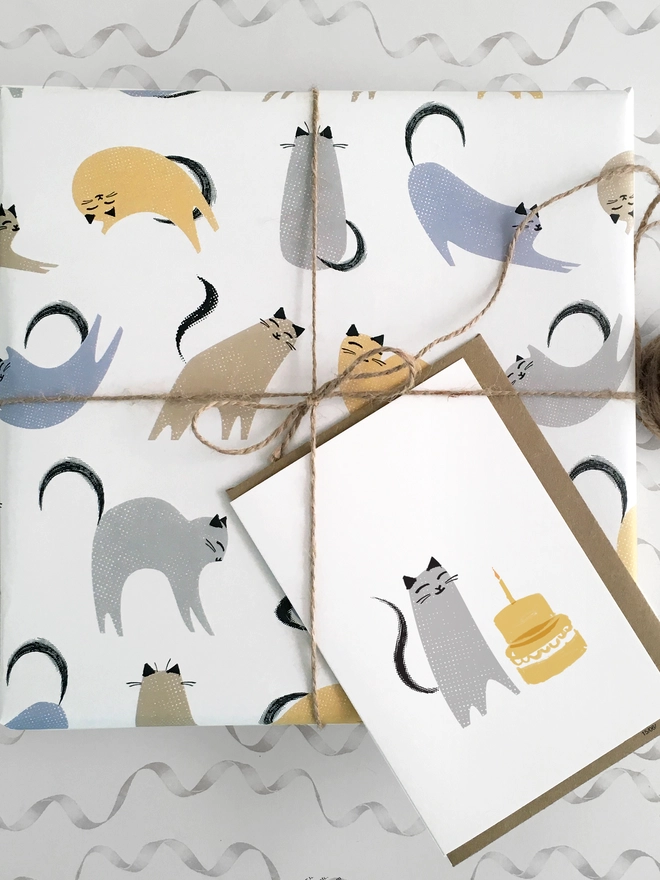 Cat Birthday Card And Wrapping Paper