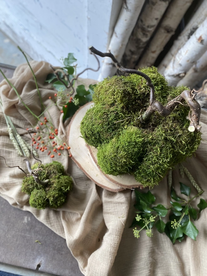 A top-down shot of two Hand Formed Dried Moss Pumpkin with Corylus Stalks, on display with sprigs of red berries, atop soft ruffled cloth